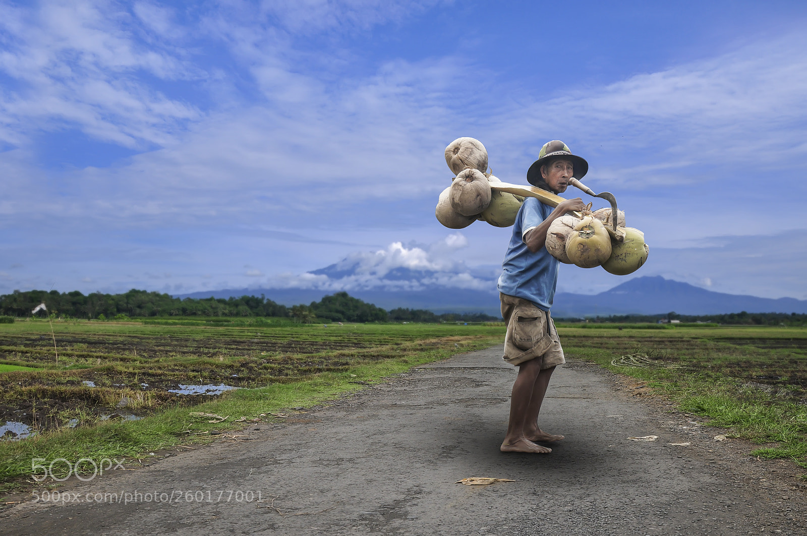 Nikon D90 sample photo. Coconut seeker photography