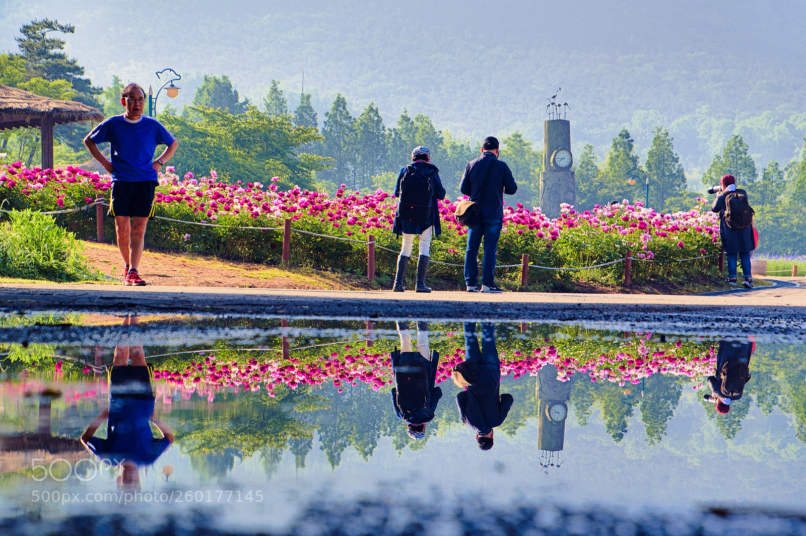 Nikon D500 sample photo. Reflection in a pool photography