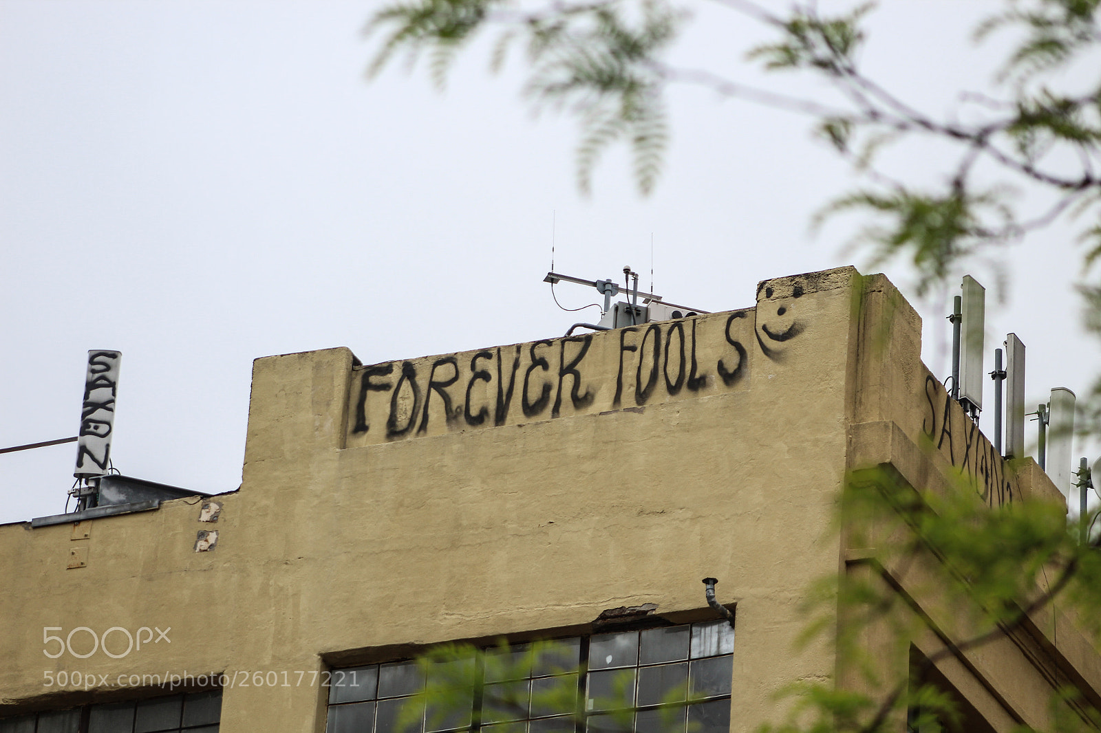 Canon EOS 1300D (EOS Rebel T6 / EOS Kiss X80) sample photo. Nueva york photography