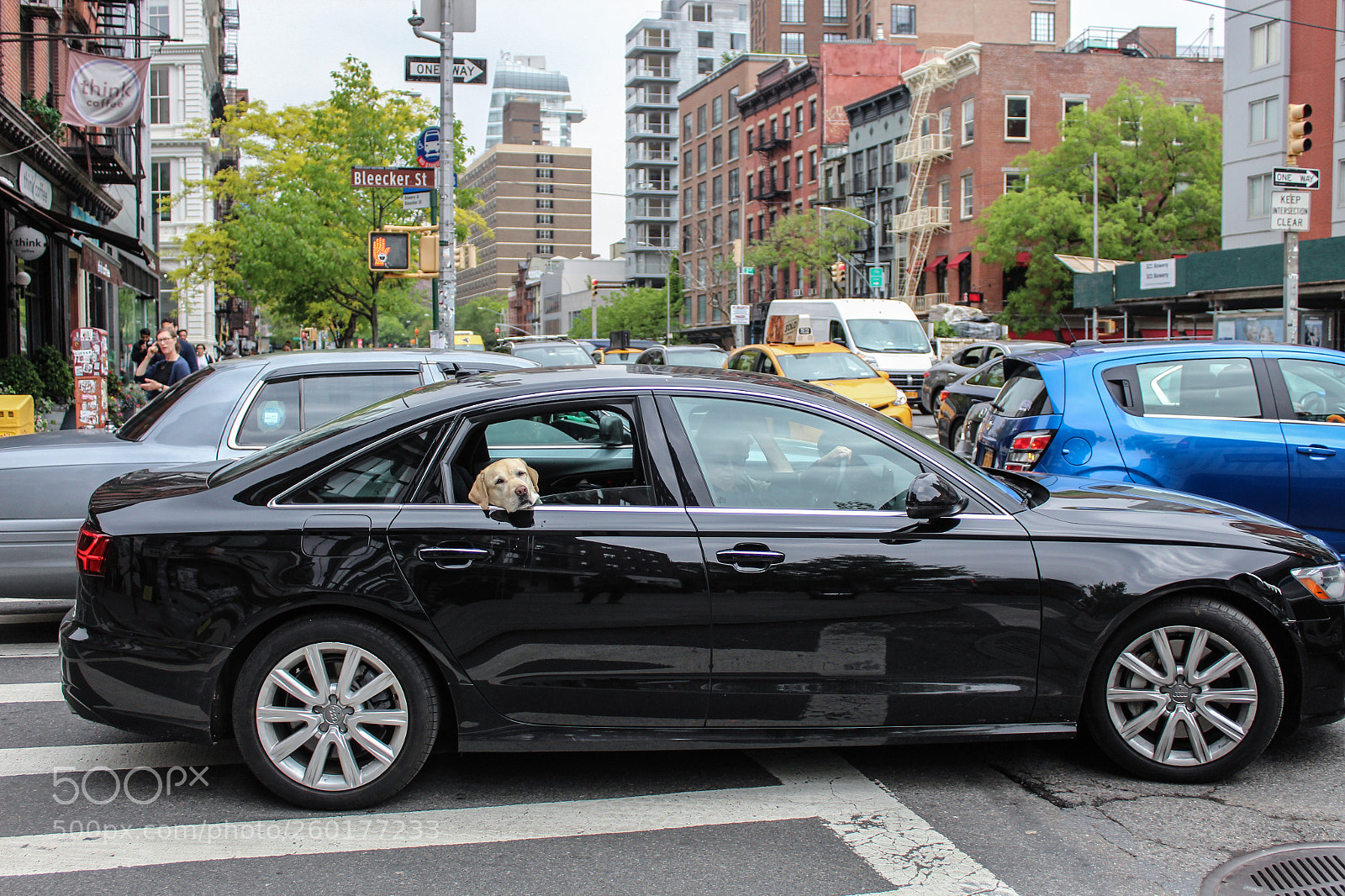 Canon EOS 1300D (EOS Rebel T6 / EOS Kiss X80) sample photo. Nueva york photography
