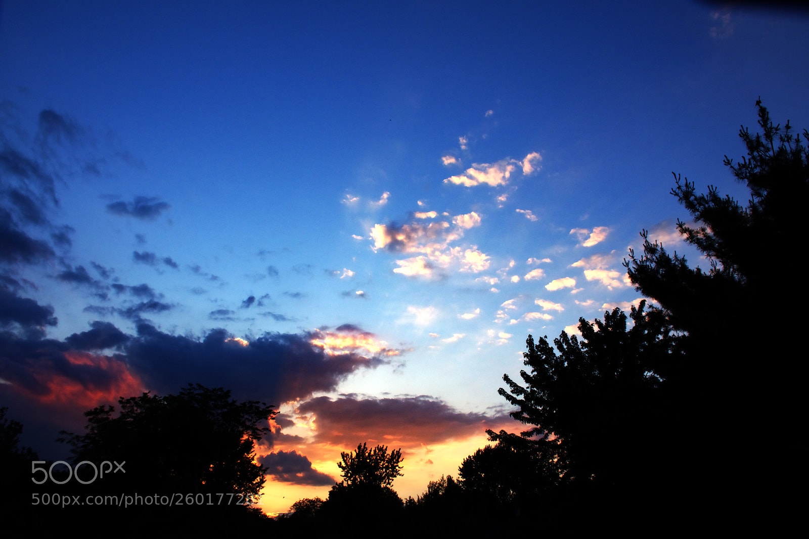 Nikon D7200 sample photo. Sunset photography