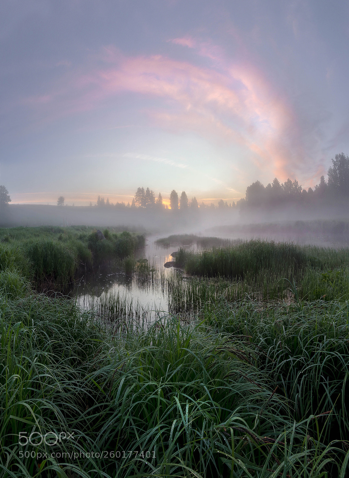Canon EOS 60D sample photo. Misty morning photography