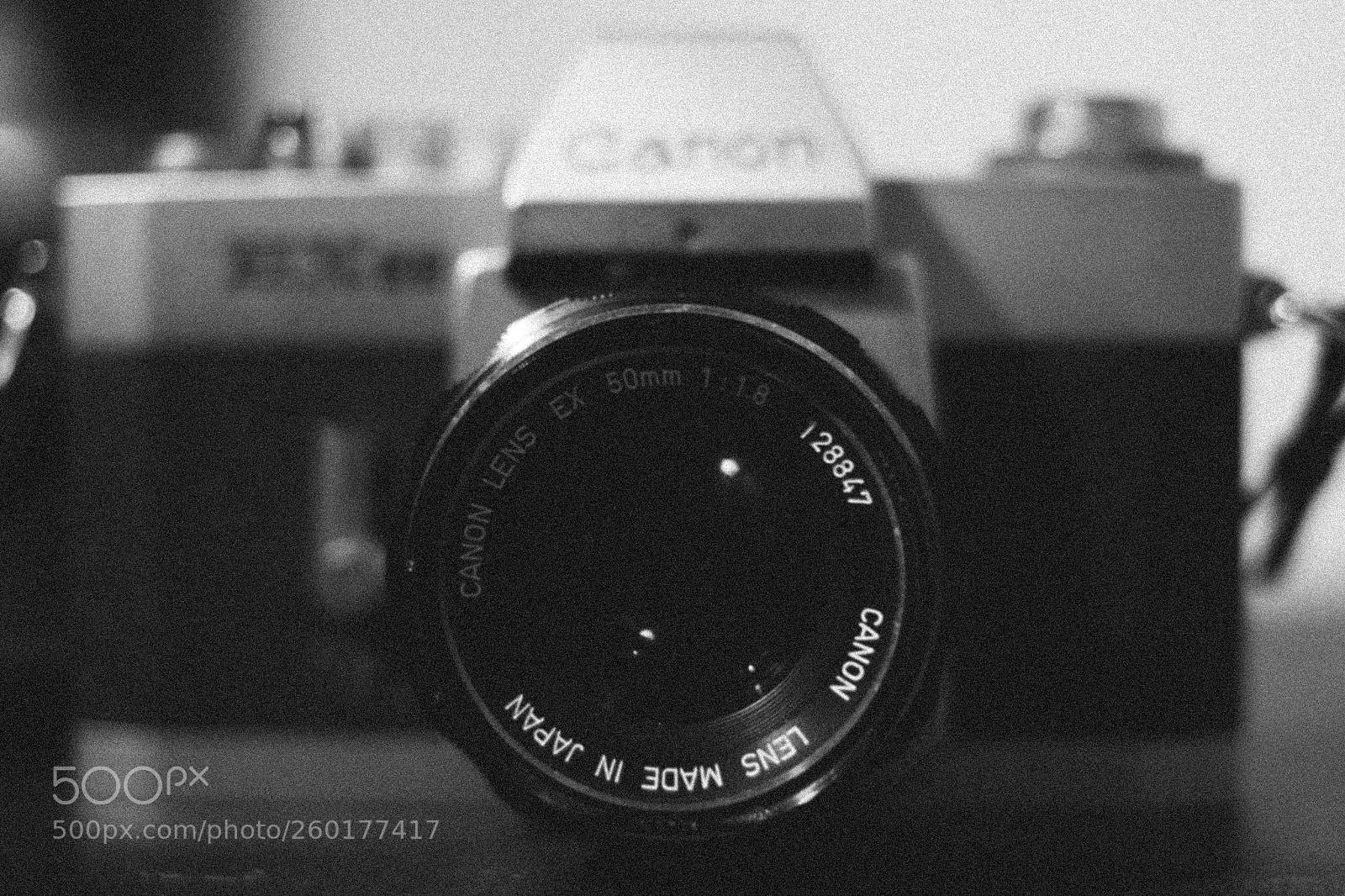 Canon EOS 700D (EOS Rebel T5i / EOS Kiss X7i) sample photo. Img photography