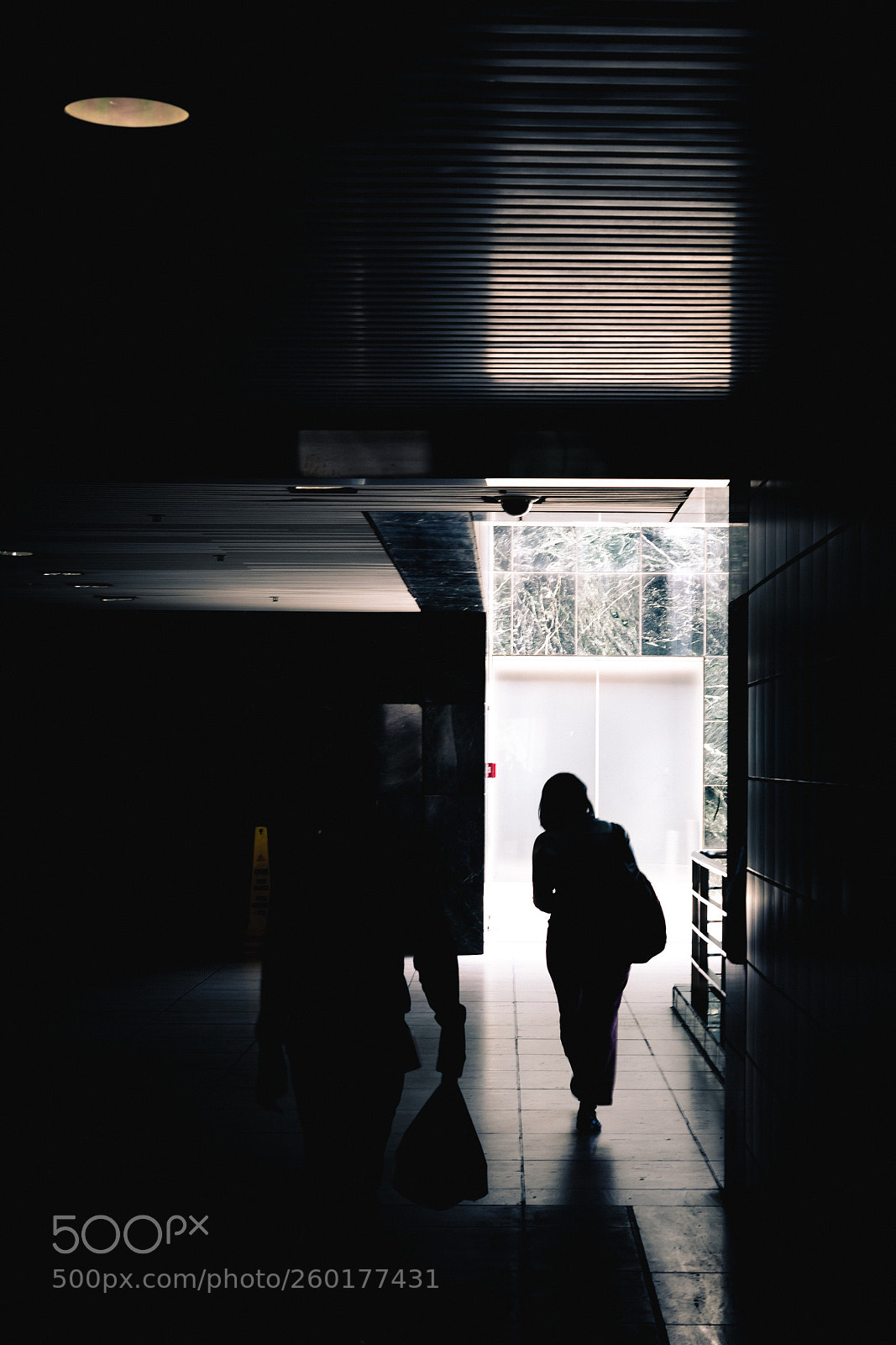 Nikon D750 sample photo. Intothelight2 photography
