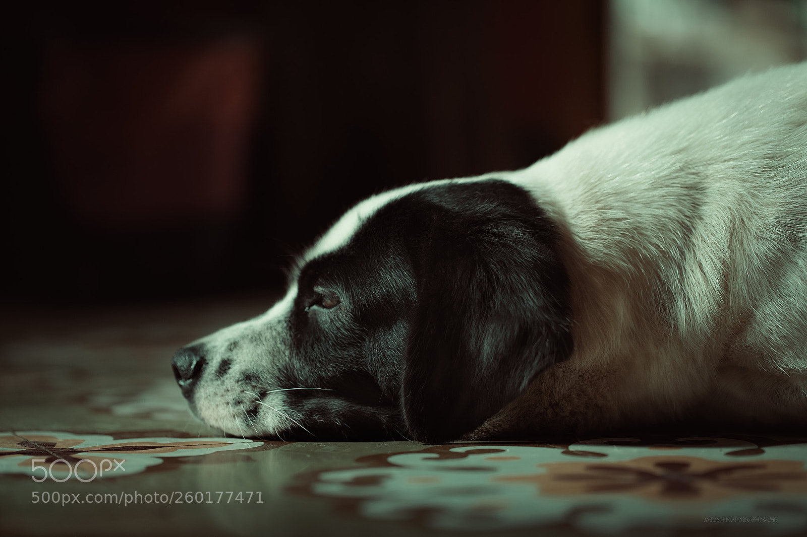 Sony a7R II sample photo. Boy photography