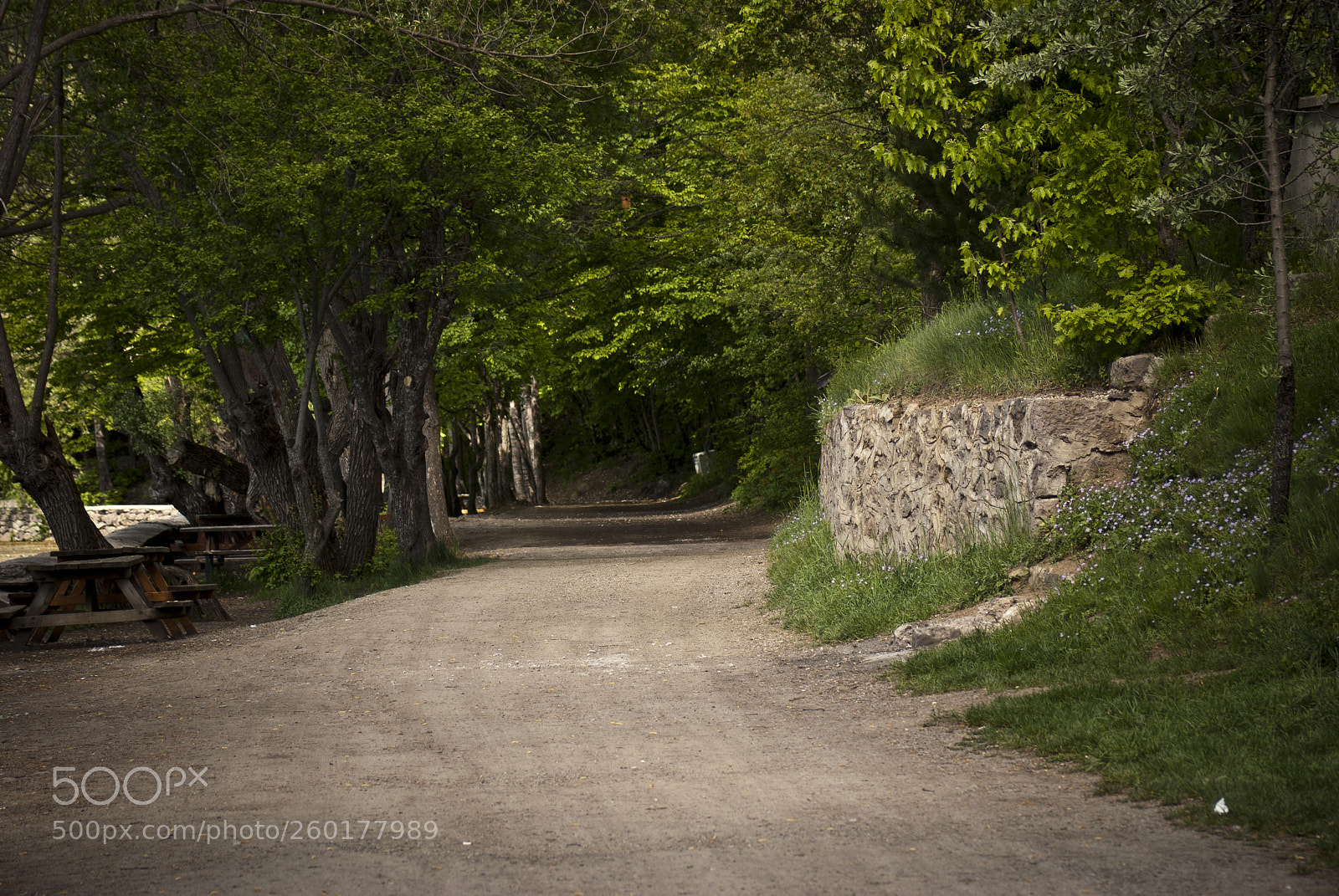 Sony Alpha DSLR-A200 sample photo. The road photography