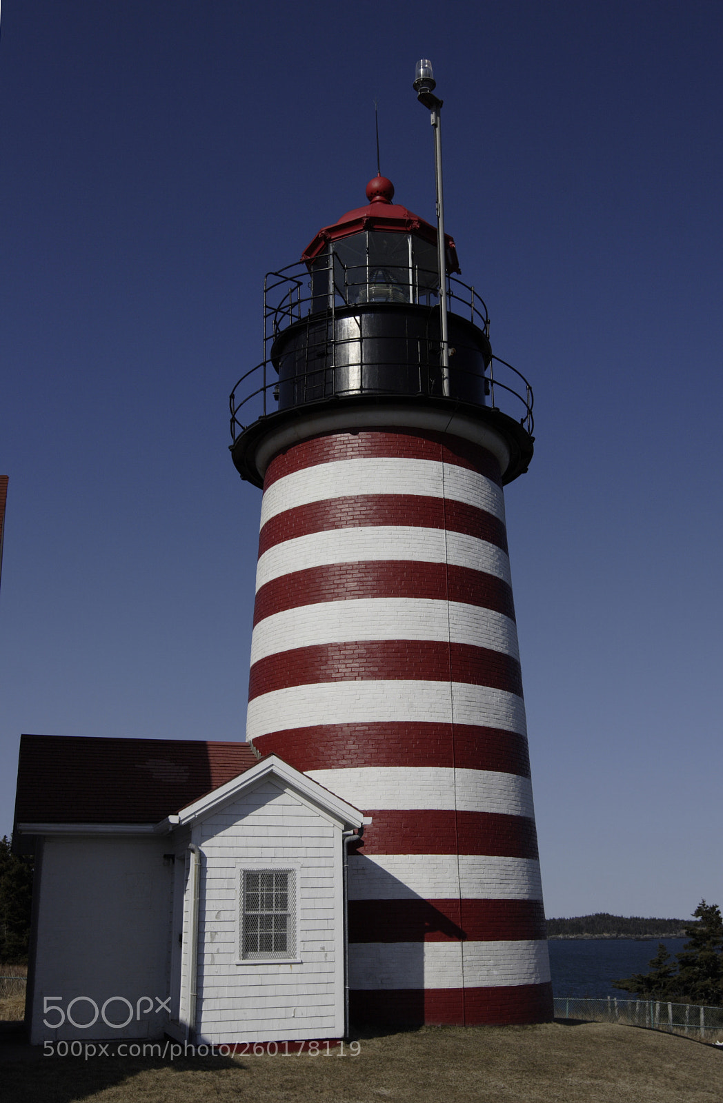 Canon EOS 20D sample photo. Quoddy head photography