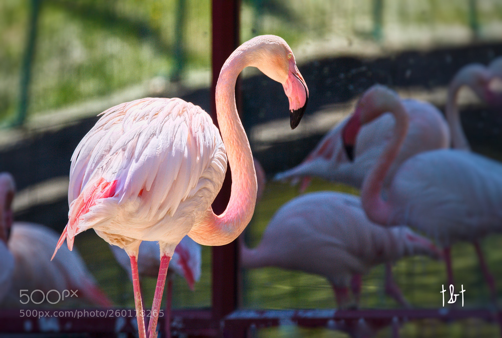 Canon EOS 7D sample photo. Untitled photography