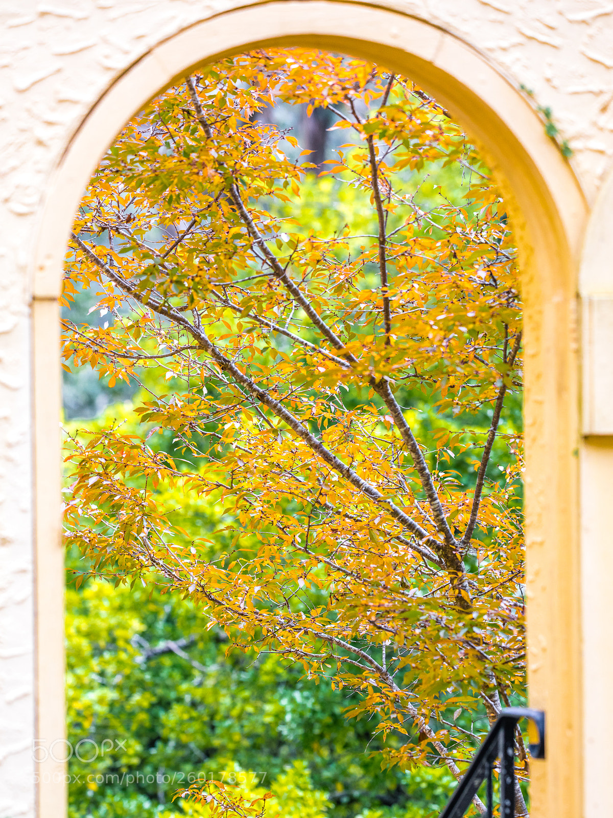 Canon EOS 5DS R sample photo. Bluemt leura photography