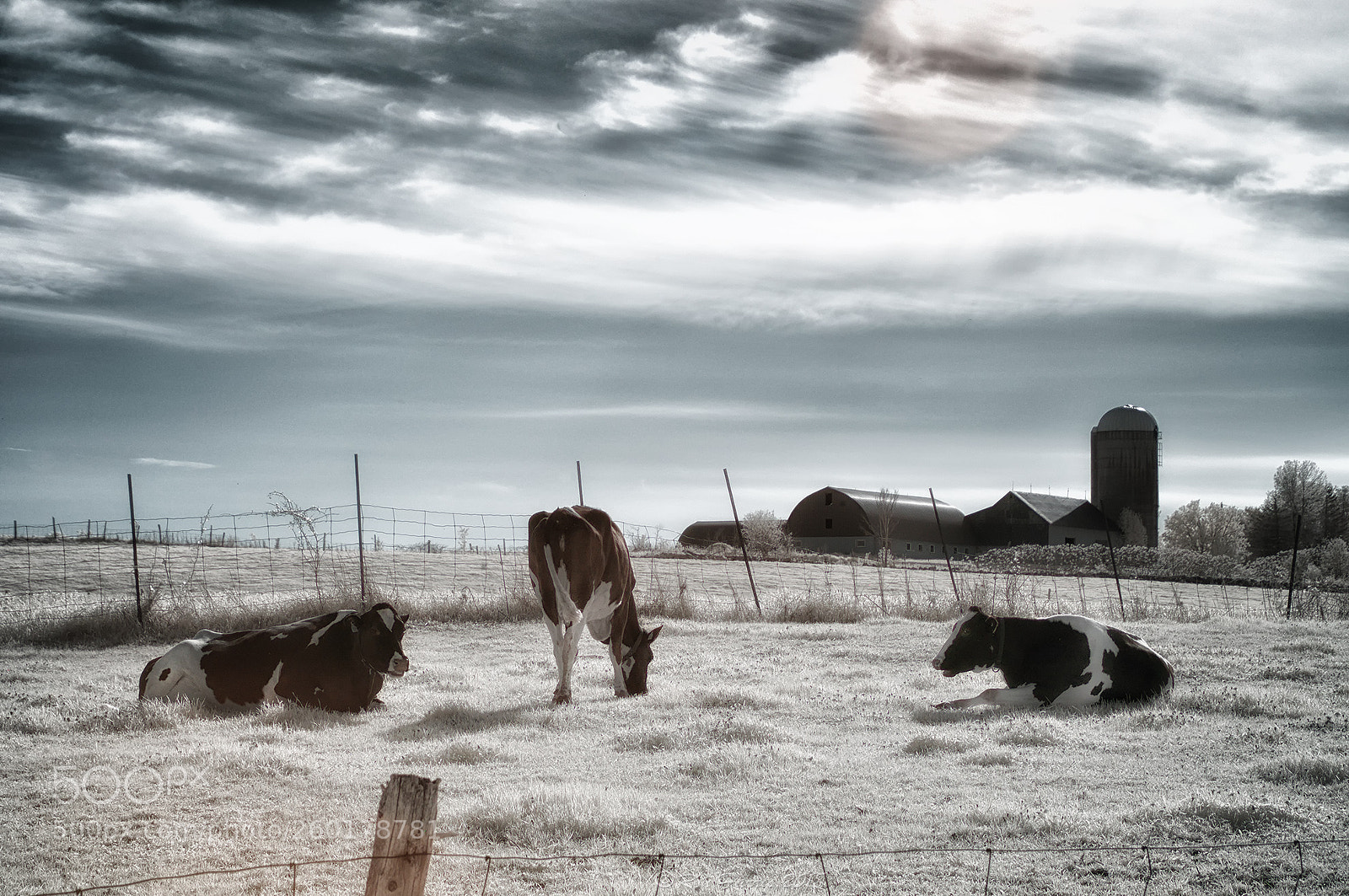 Nikon D90 sample photo. Lazy days photography