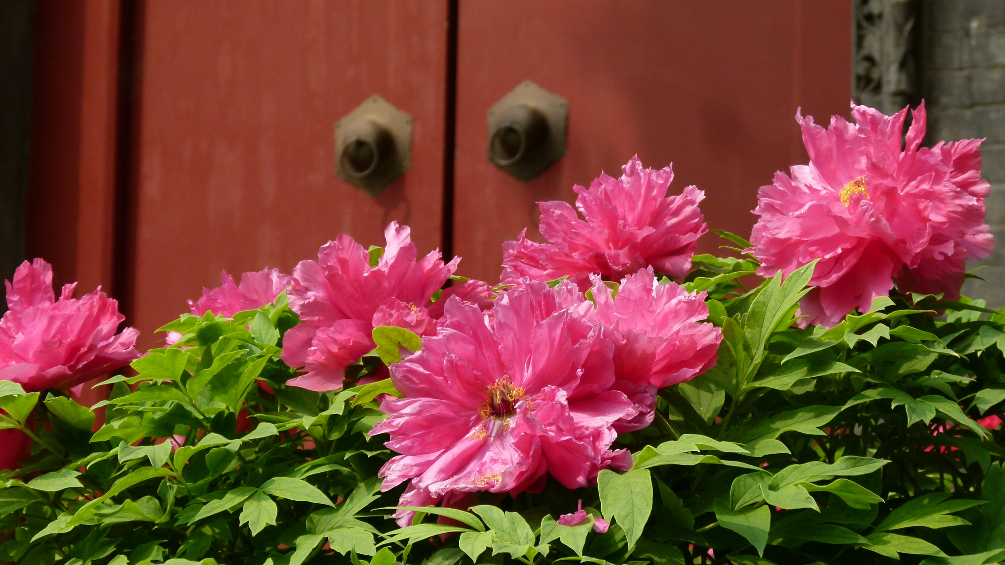 Leica V-Lux 2 sample photo
