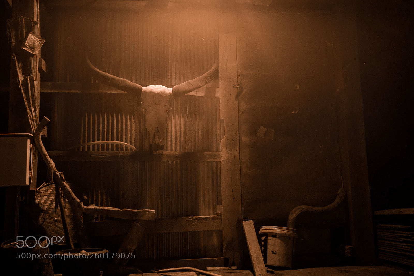 Canon EOS 5D Mark IV sample photo. Magic door photography