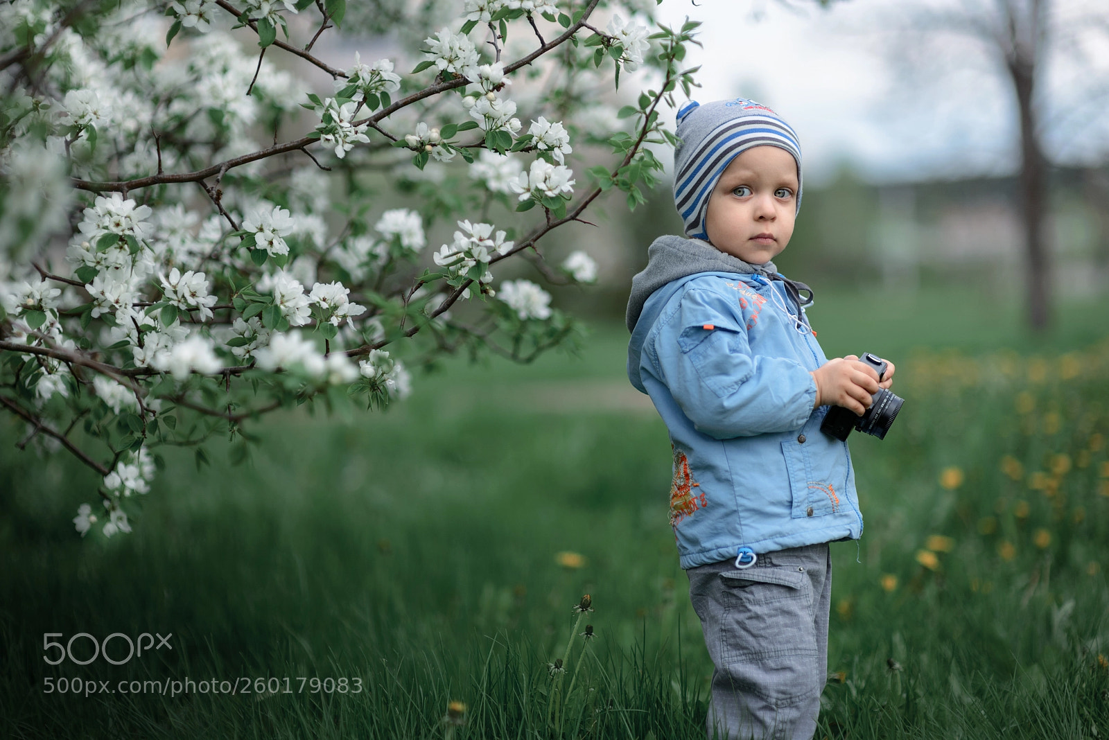 Nikon D610 sample photo. ** photography