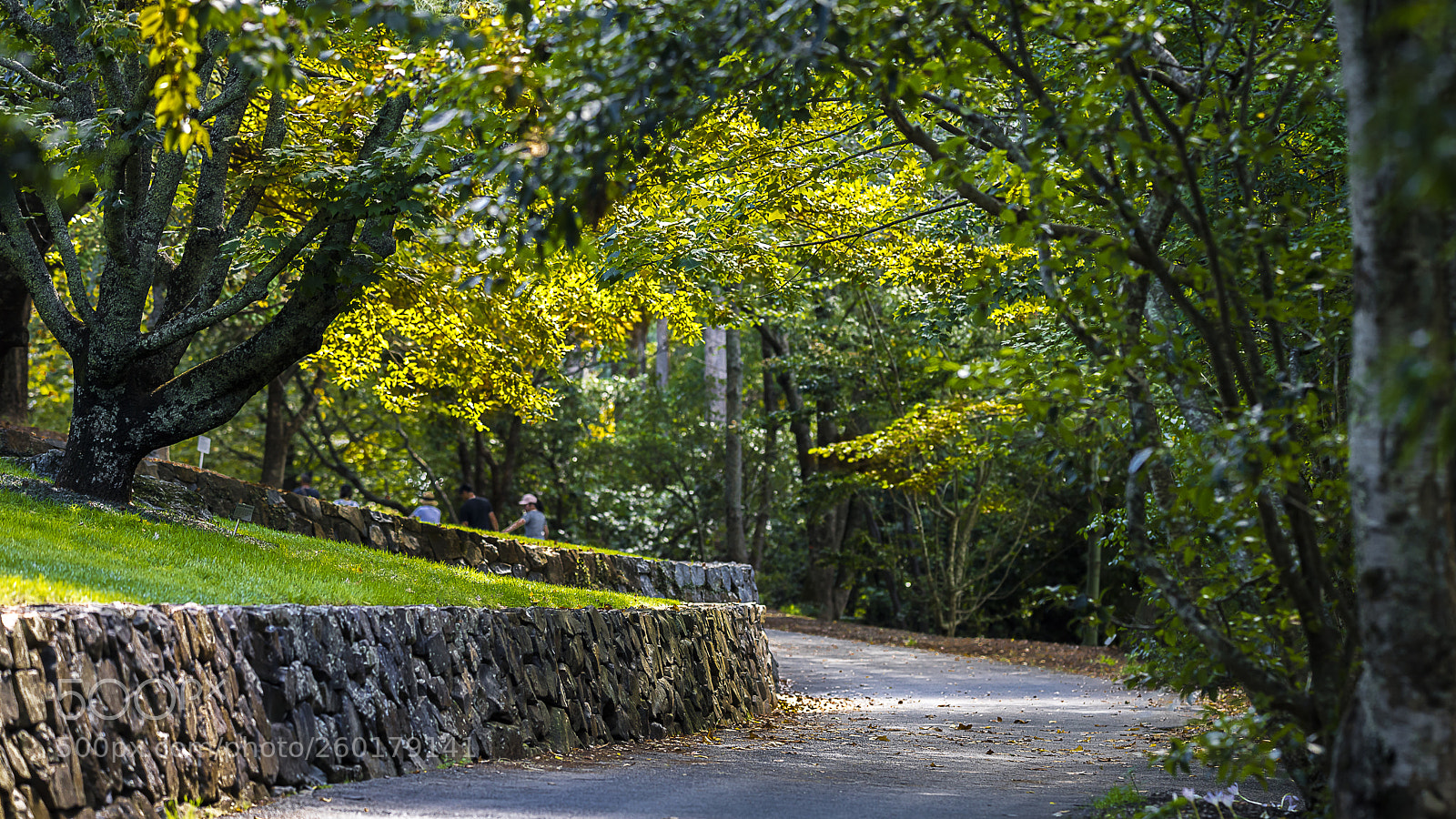 Canon EOS 5DS R sample photo. Mmexport photography