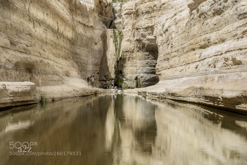 Nikon D810 sample photo. Ein avdat reservoirs photography