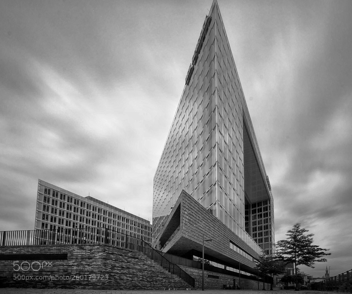 Sony a7R sample photo. Upright photography