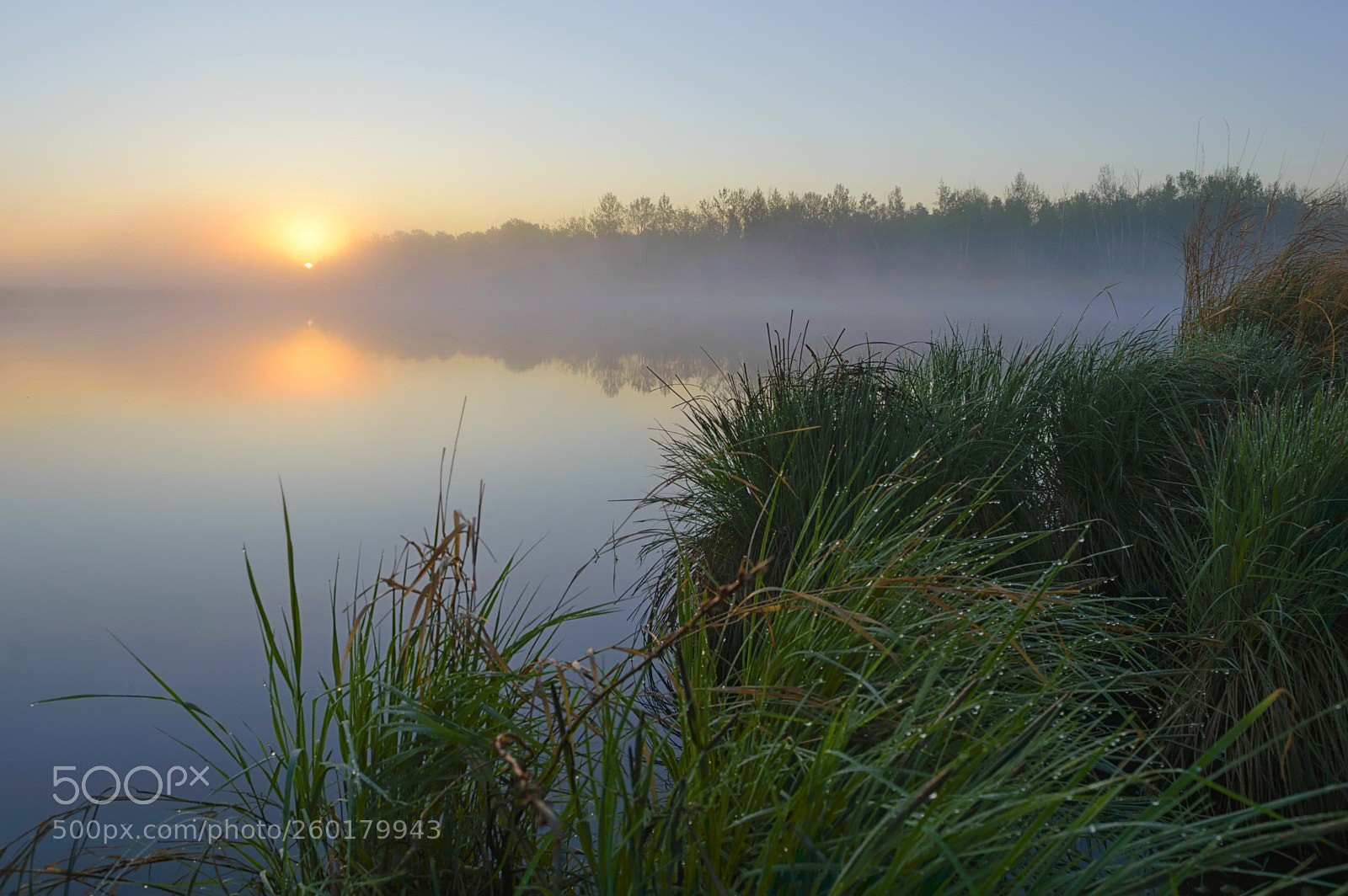 Nikon D3200 sample photo. Misty dawn on the photography
