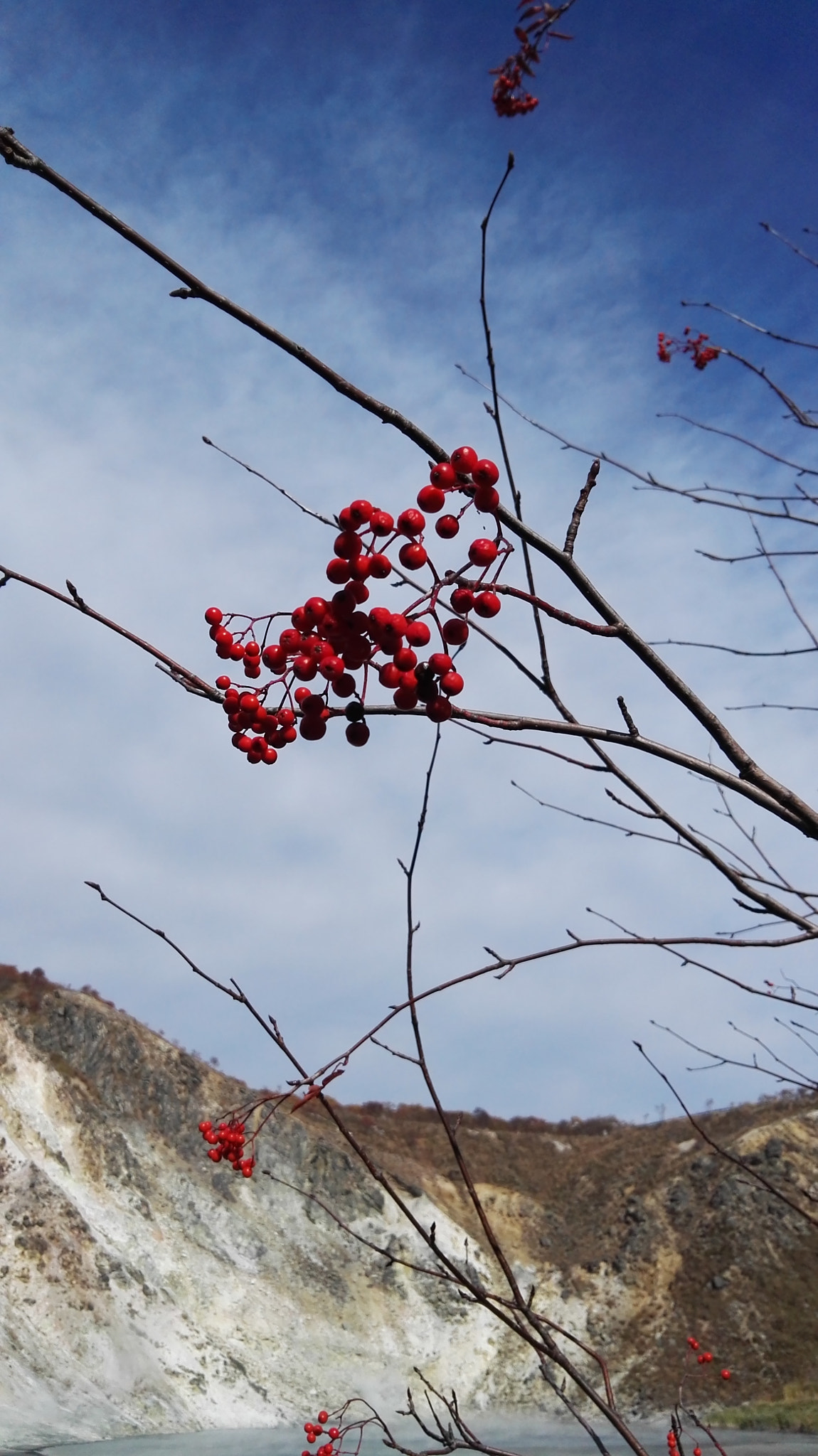 HUAWEI P8 sample photo