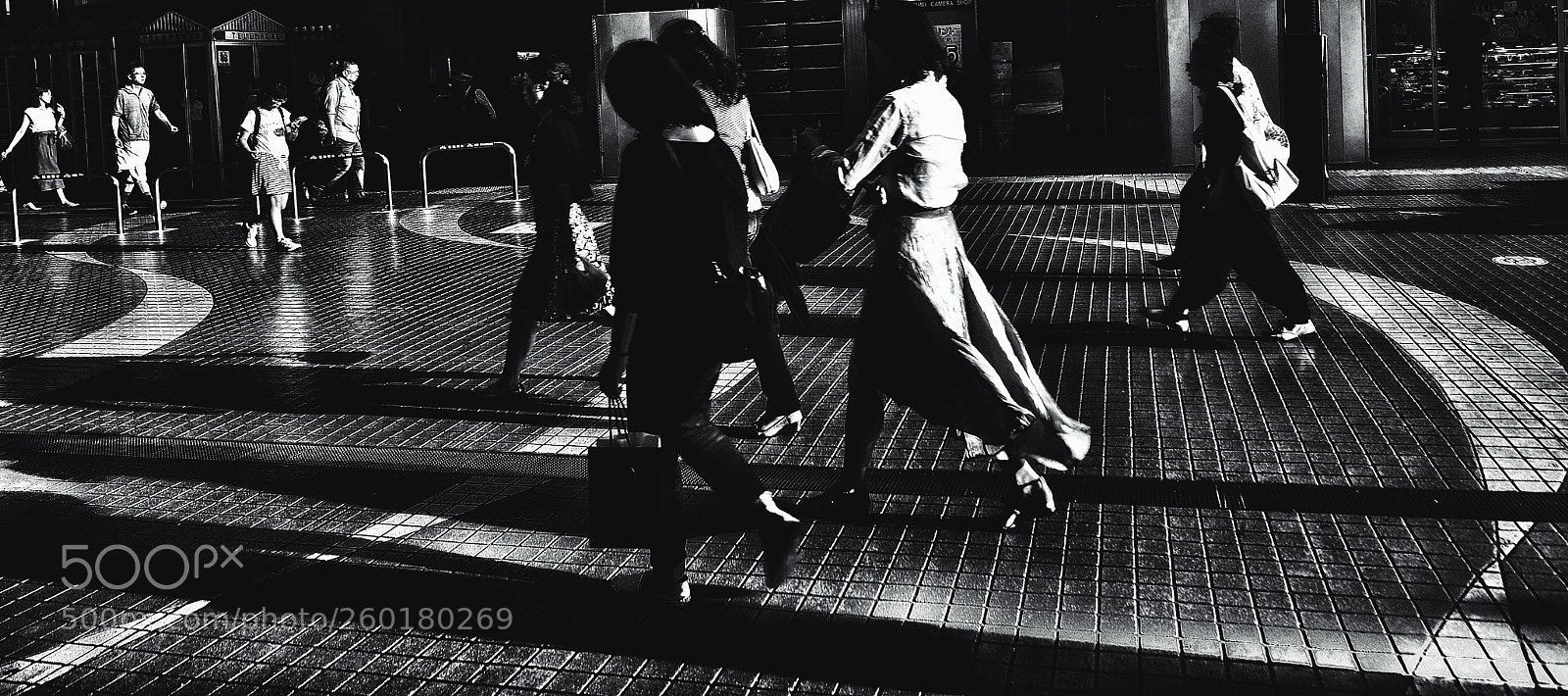 Nikon D5 sample photo. Untitled photography