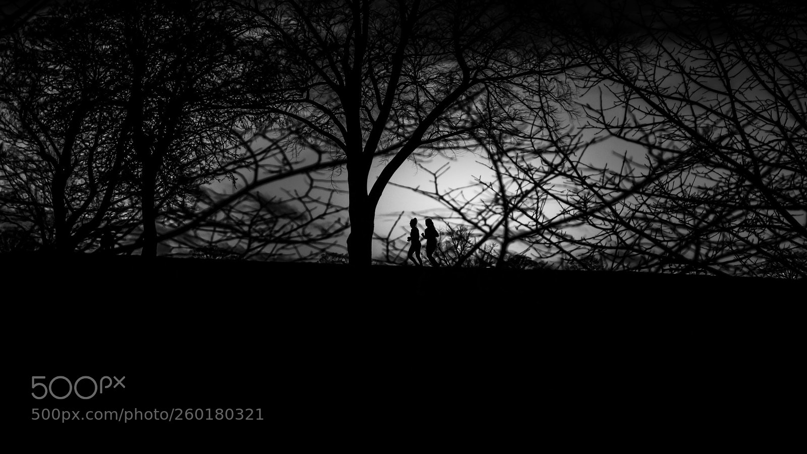 Canon EOS 600D (Rebel EOS T3i / EOS Kiss X5) sample photo. Lost in the forest photography