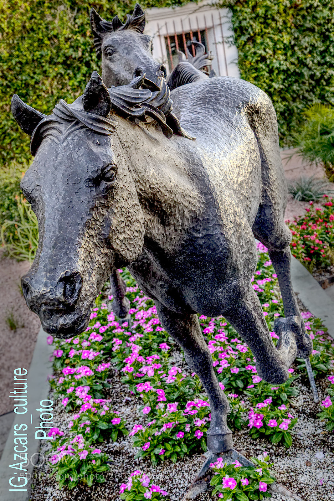 Canon EOS 5D Mark IV sample photo. Curiosity photography