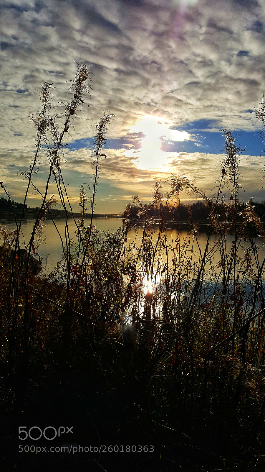 Samsung Galaxy S6 sample photo. The river photography