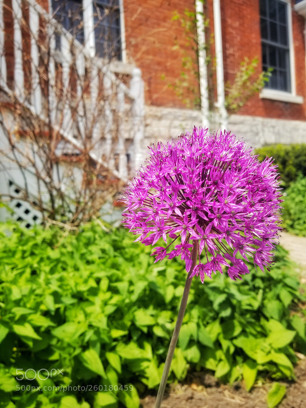 Samsung Galaxy S8+ sample photo. Untitled photography