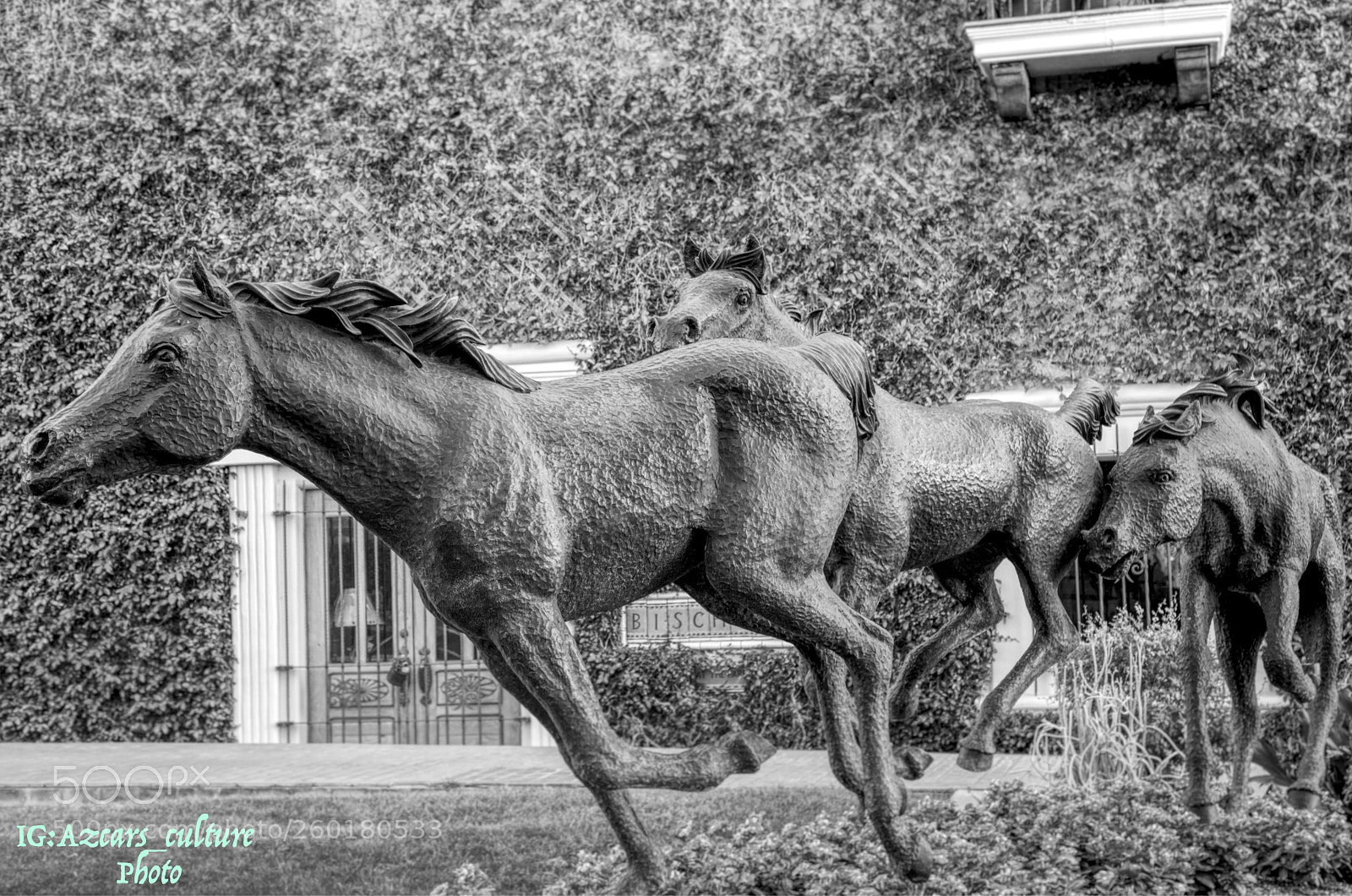 Canon EOS 5D Mark IV sample photo. Freedom photography