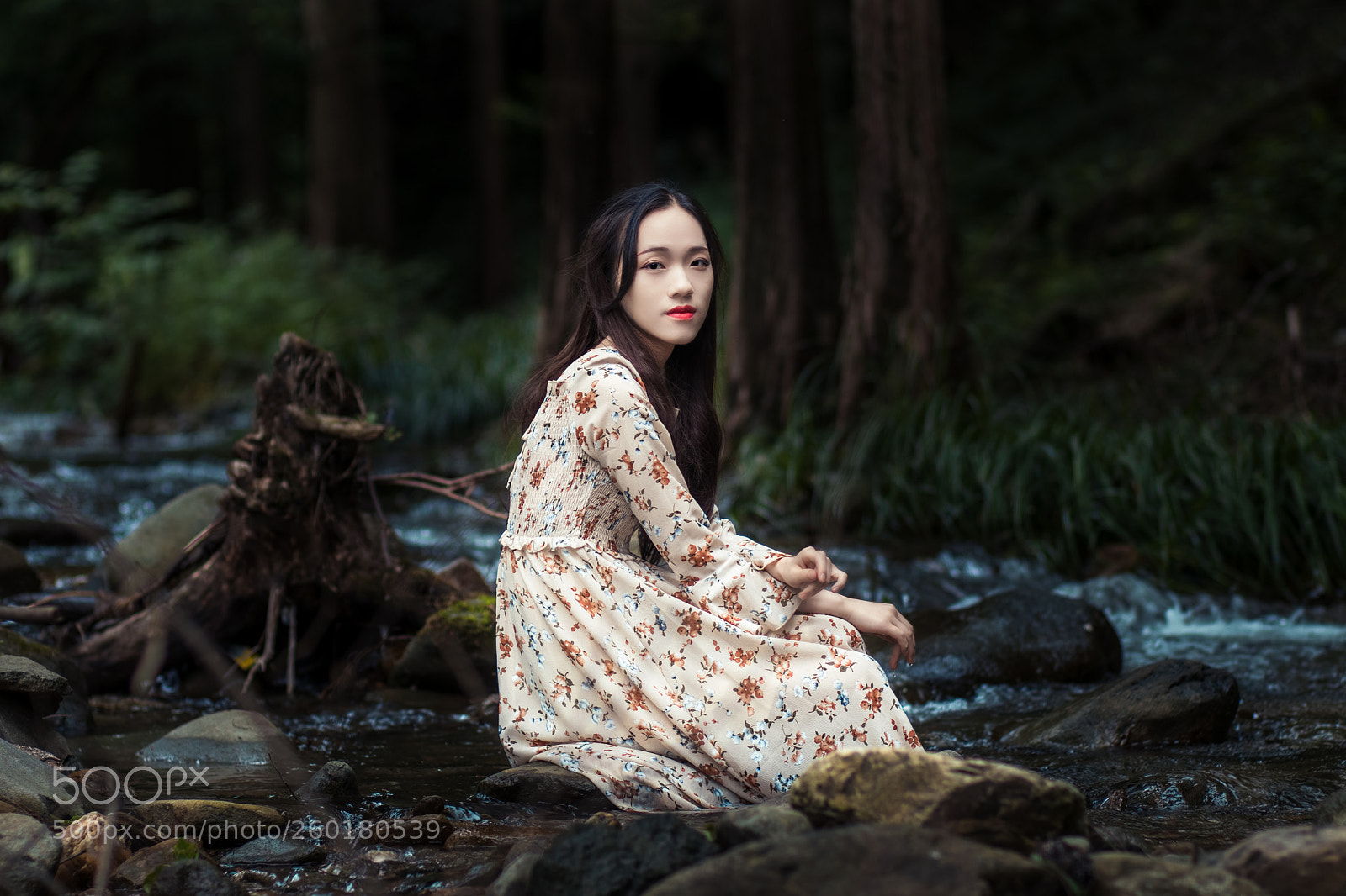 Canon EOS 80D sample photo. Untitled photography