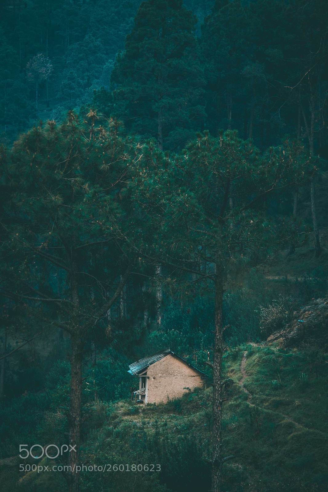 Canon EOS 700D (EOS Rebel T5i / EOS Kiss X7i) sample photo. The cabin in woods photography