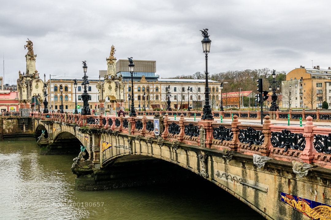 Canon EOS 750D (EOS Rebel T6i / EOS Kiss X8i) sample photo. Puente de maria cristina photography