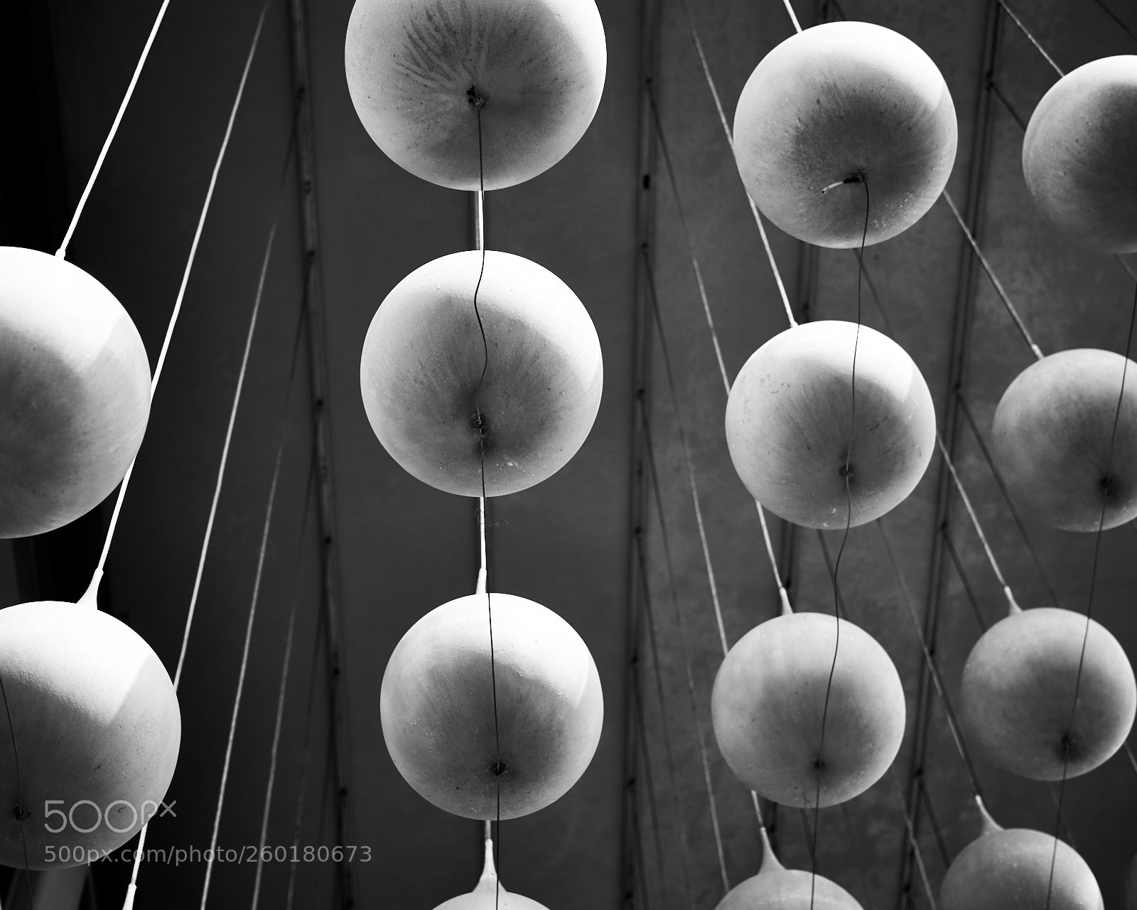 Fujifilm X-T2 sample photo. Hangin' 'round photography