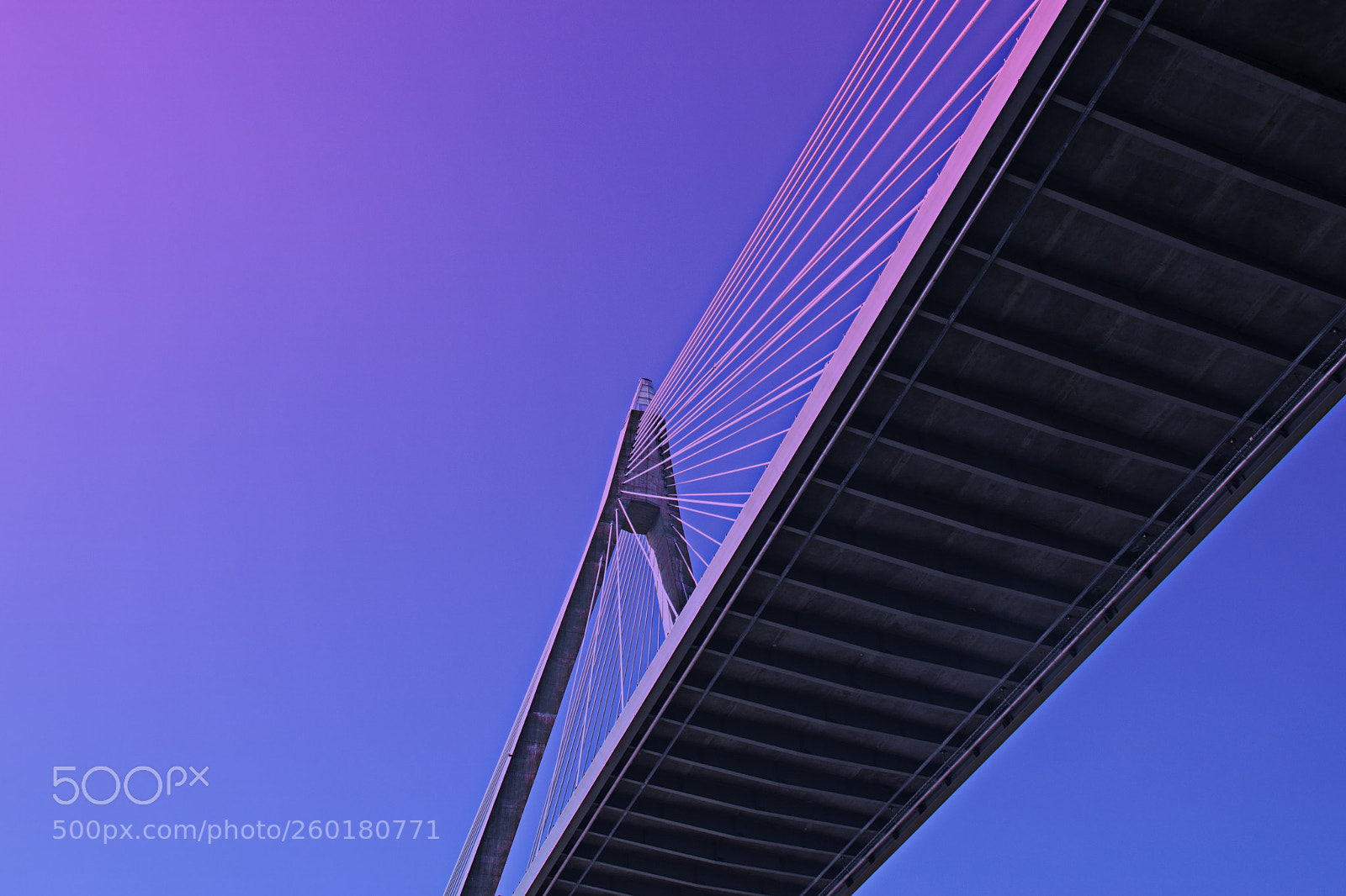 Nikon D5300 sample photo. Bridge photography