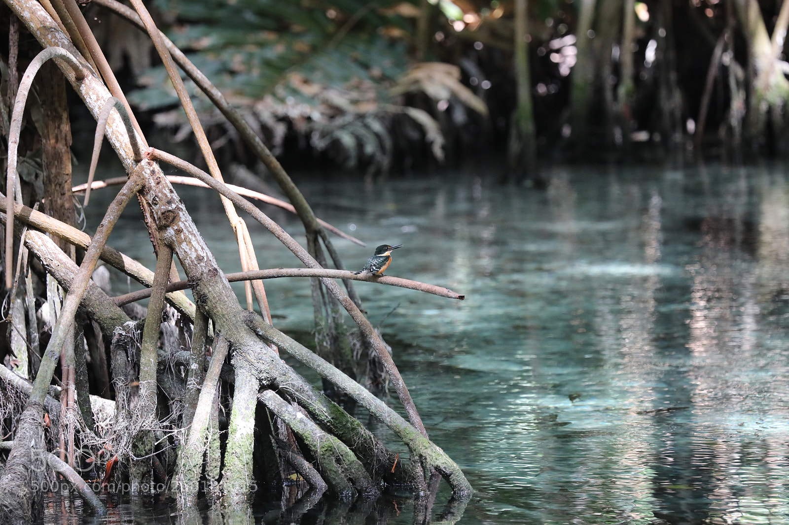 Canon EOS 5D Mark IV sample photo. World of the american photography