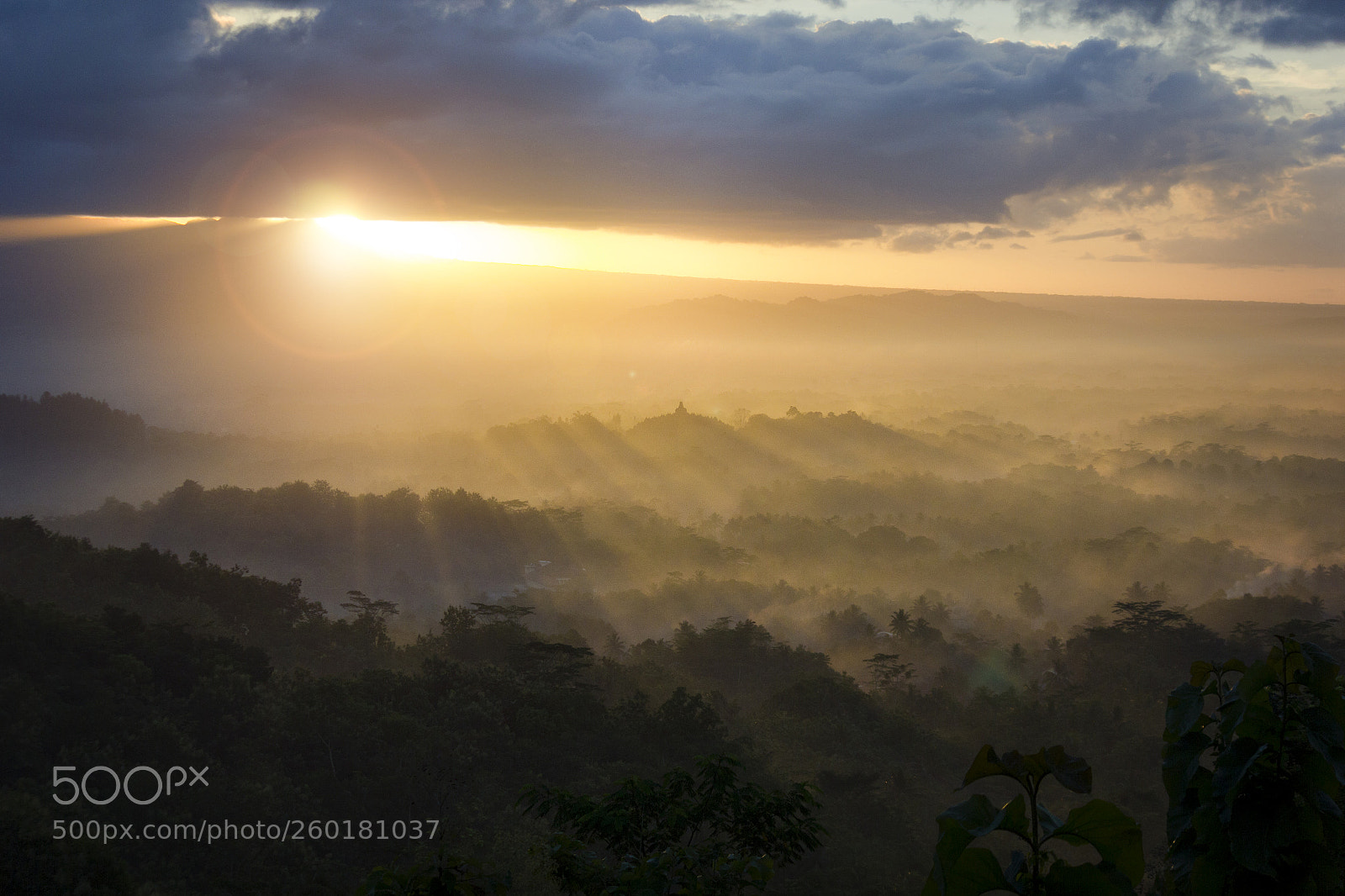 Canon EOS 550D (EOS Rebel T2i / EOS Kiss X4) sample photo. Rising with moody sun photography