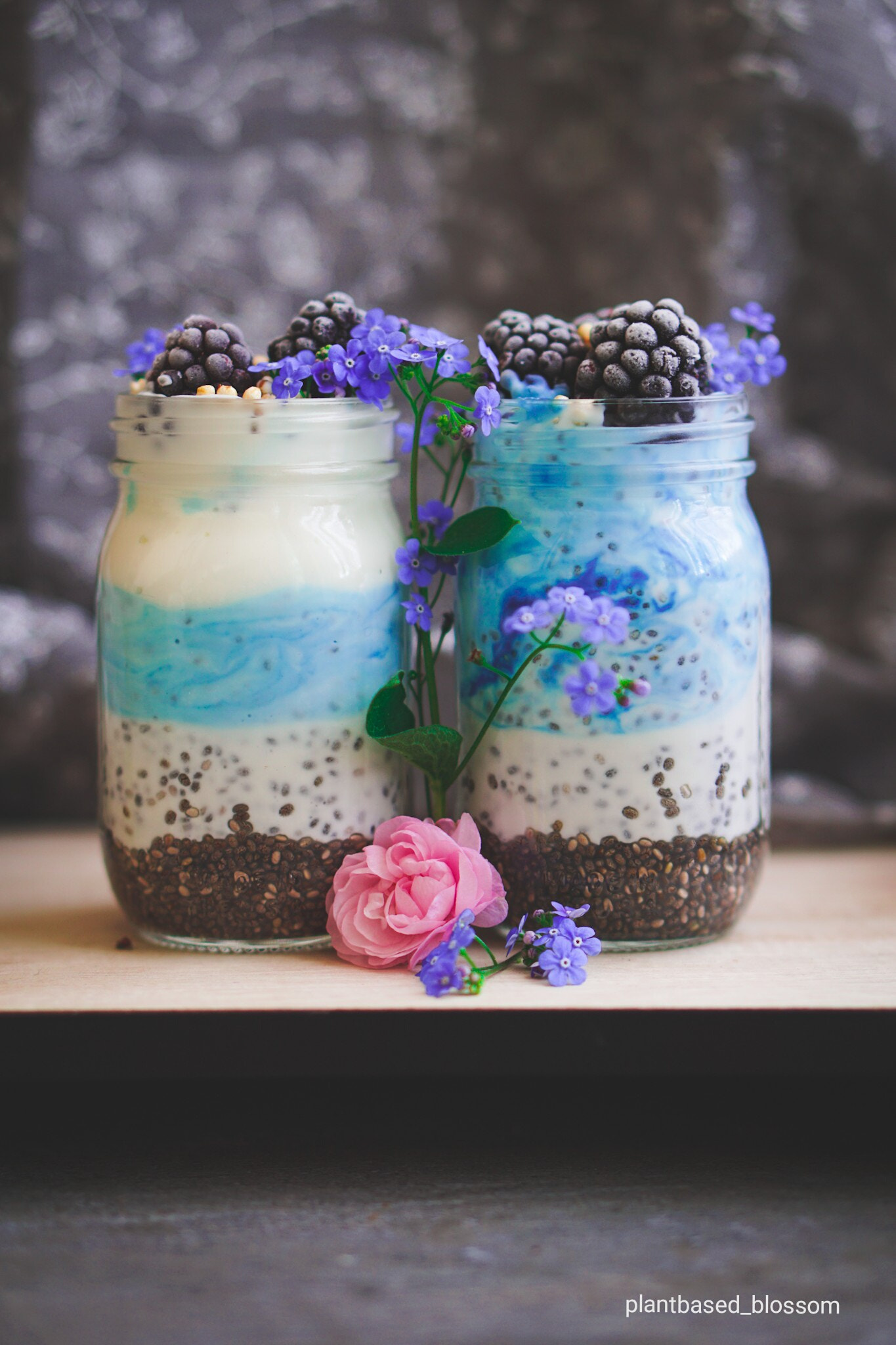 Sony a5100 sample photo. Chia jars photography