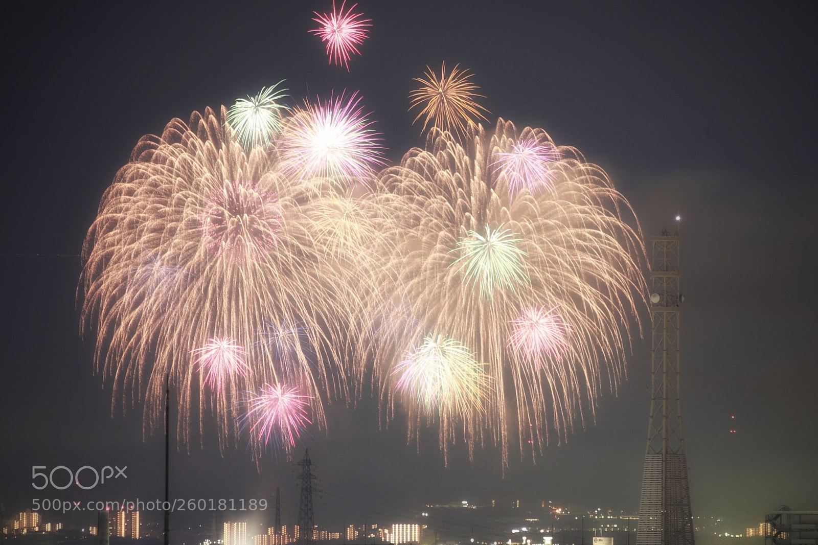 Canon EOS 6D Mark II sample photo. Untitled photography