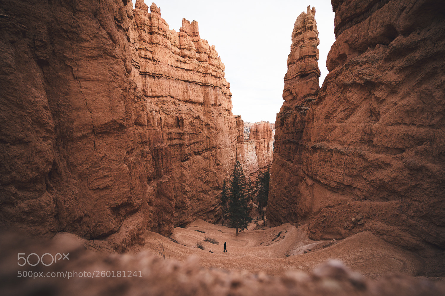 Sony a7 II sample photo. Tiny person hiking down photography