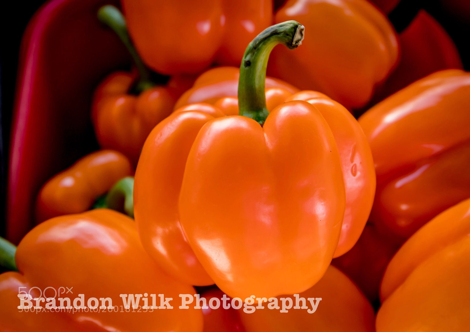 Canon EOS 80D sample photo. Orange pepper glow photography