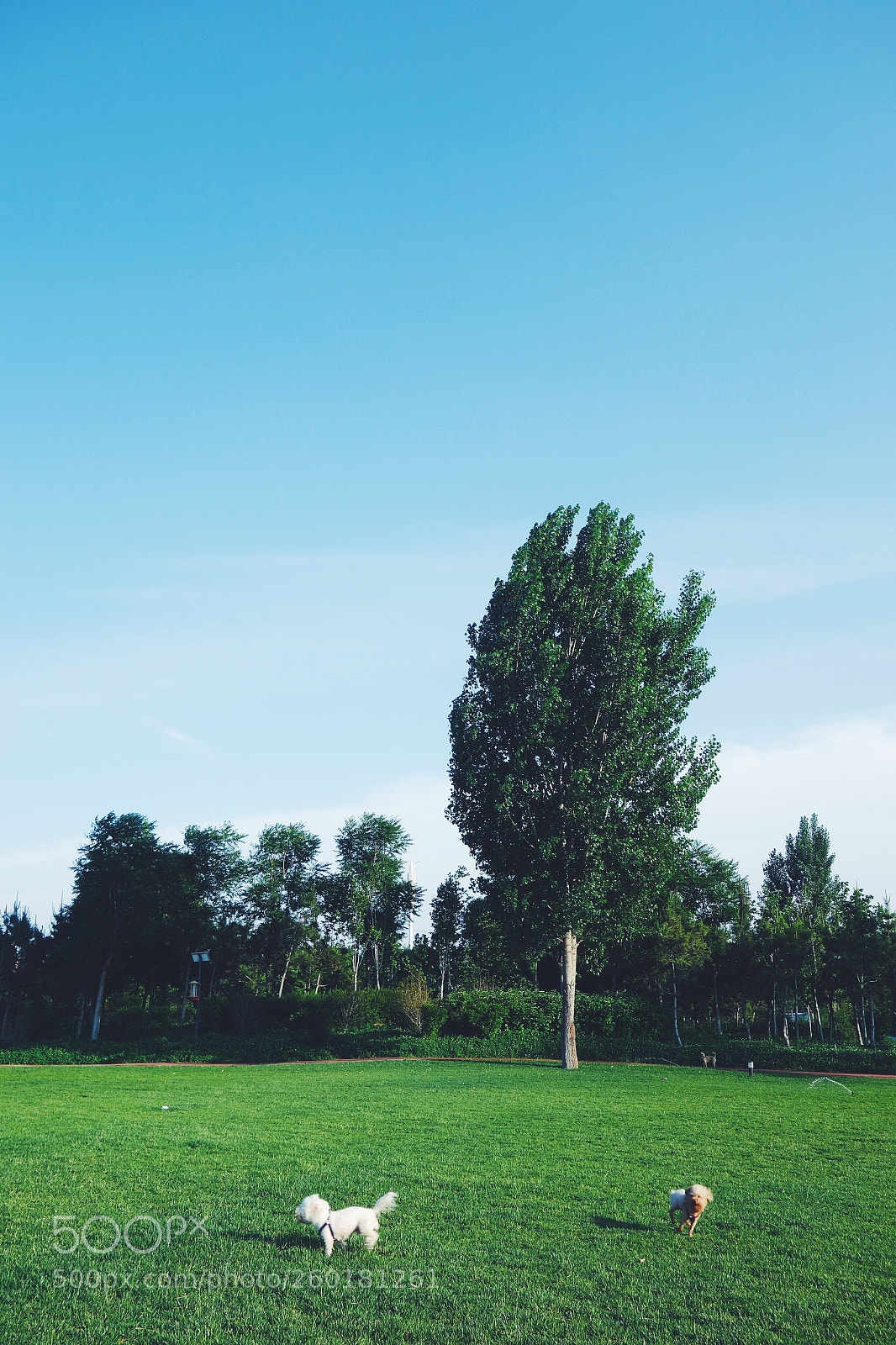 Sony Cyber-shot DSC-RX100 sample photo. Processed with vsco with photography