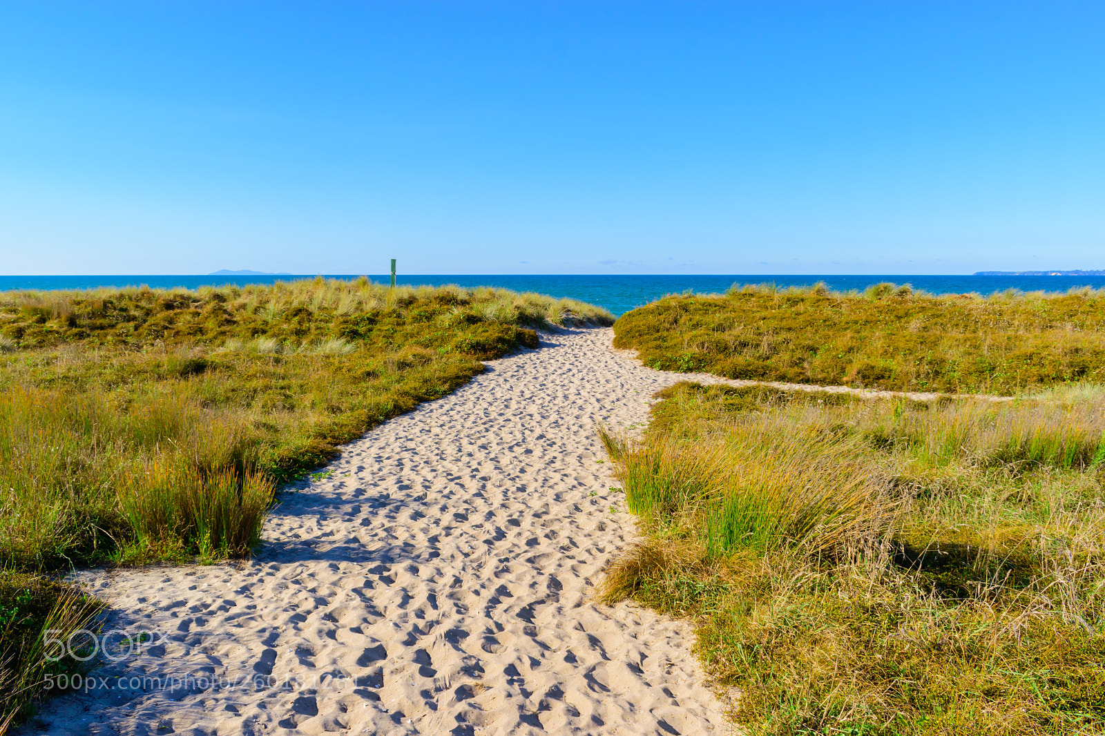 Nikon D5600 sample photo. Path to paradise photography
