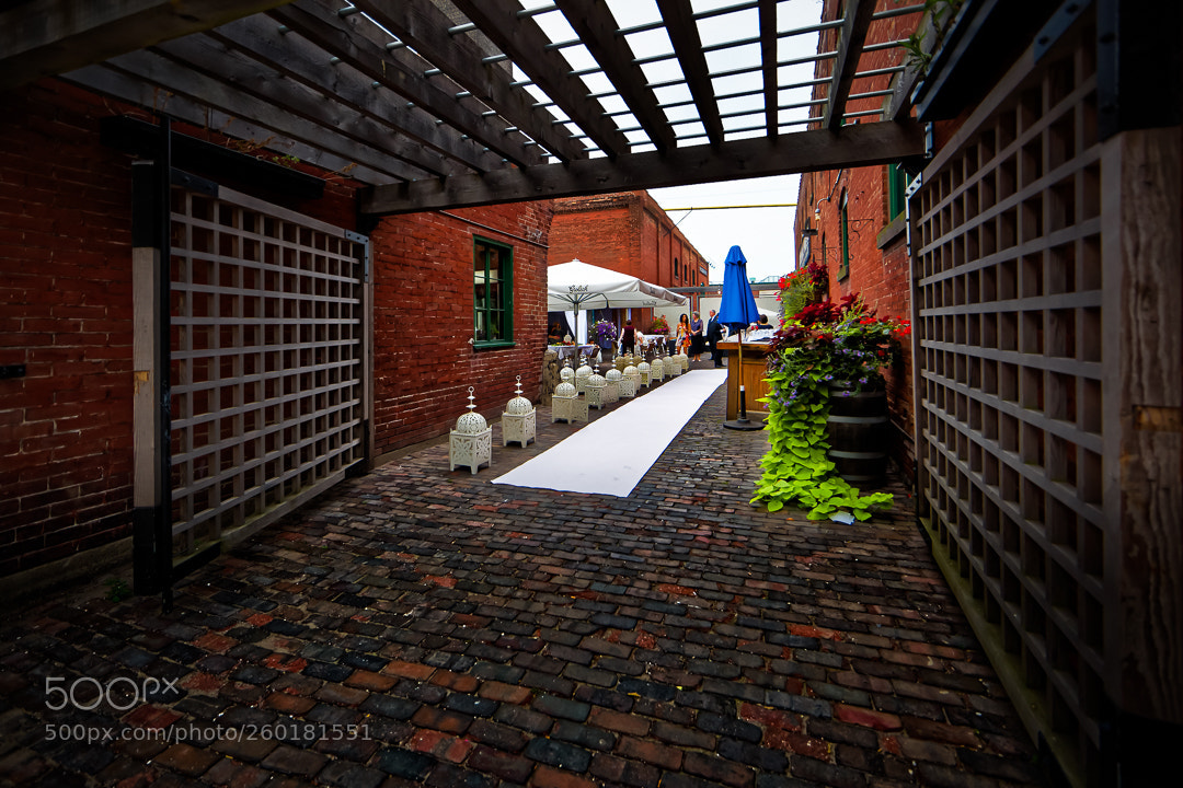 Canon EOS 5D Mark II sample photo. The dream wedding reception. photography