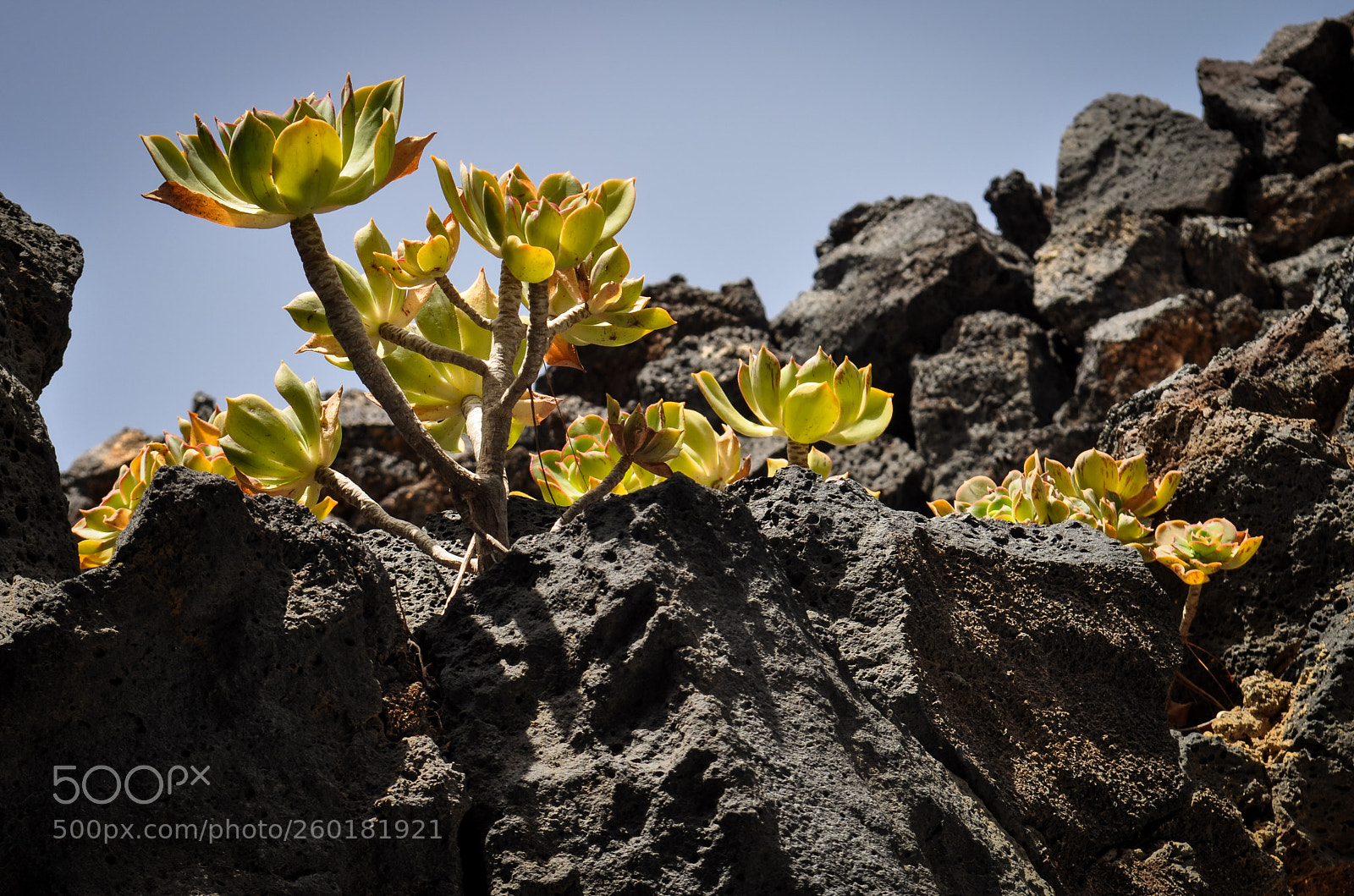 Nikon D5000 sample photo. Lanzarote photography