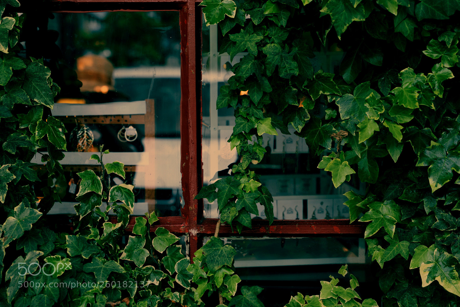 Canon EF 24-70mm F2.8L II USM sample photo. Window photography