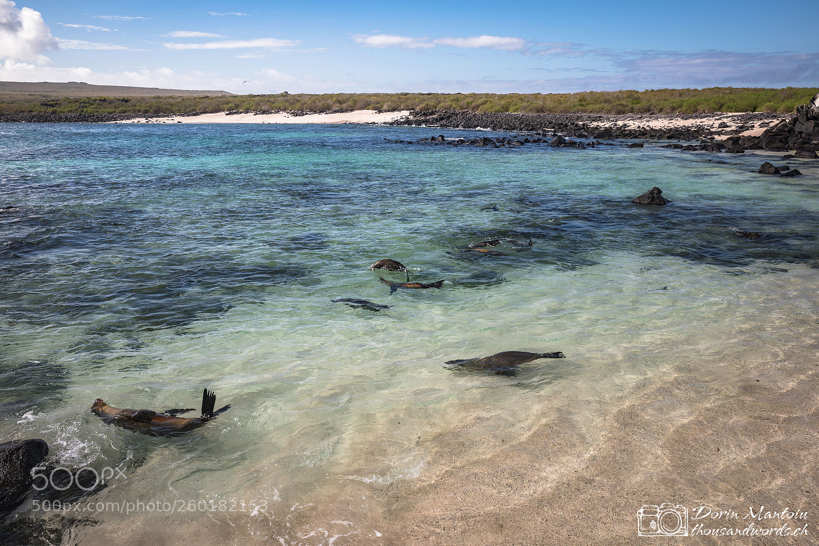 Canon EOS 5D Mark IV sample photo. Isla española photography