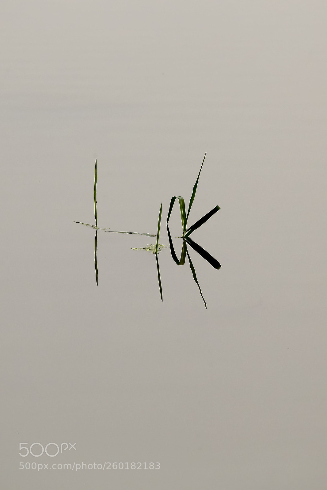 Canon EOS 6D sample photo. Ok图 photography