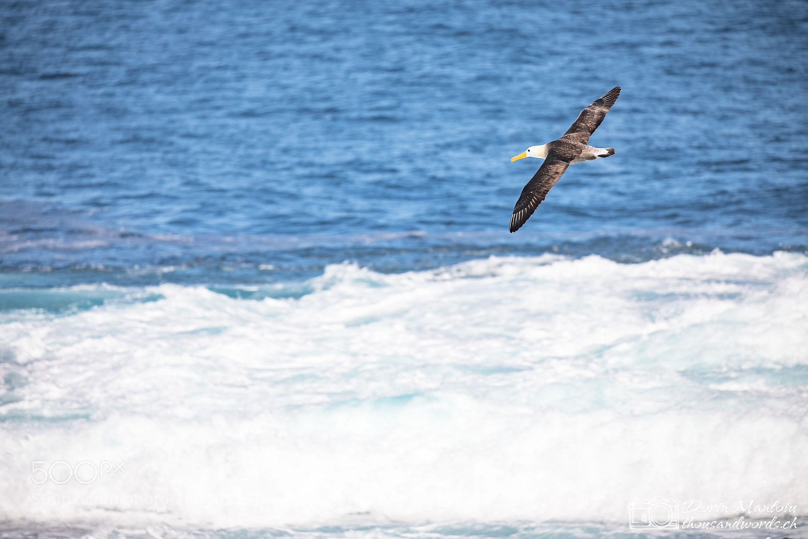 Canon EOS 5D Mark IV sample photo. Isla española photography