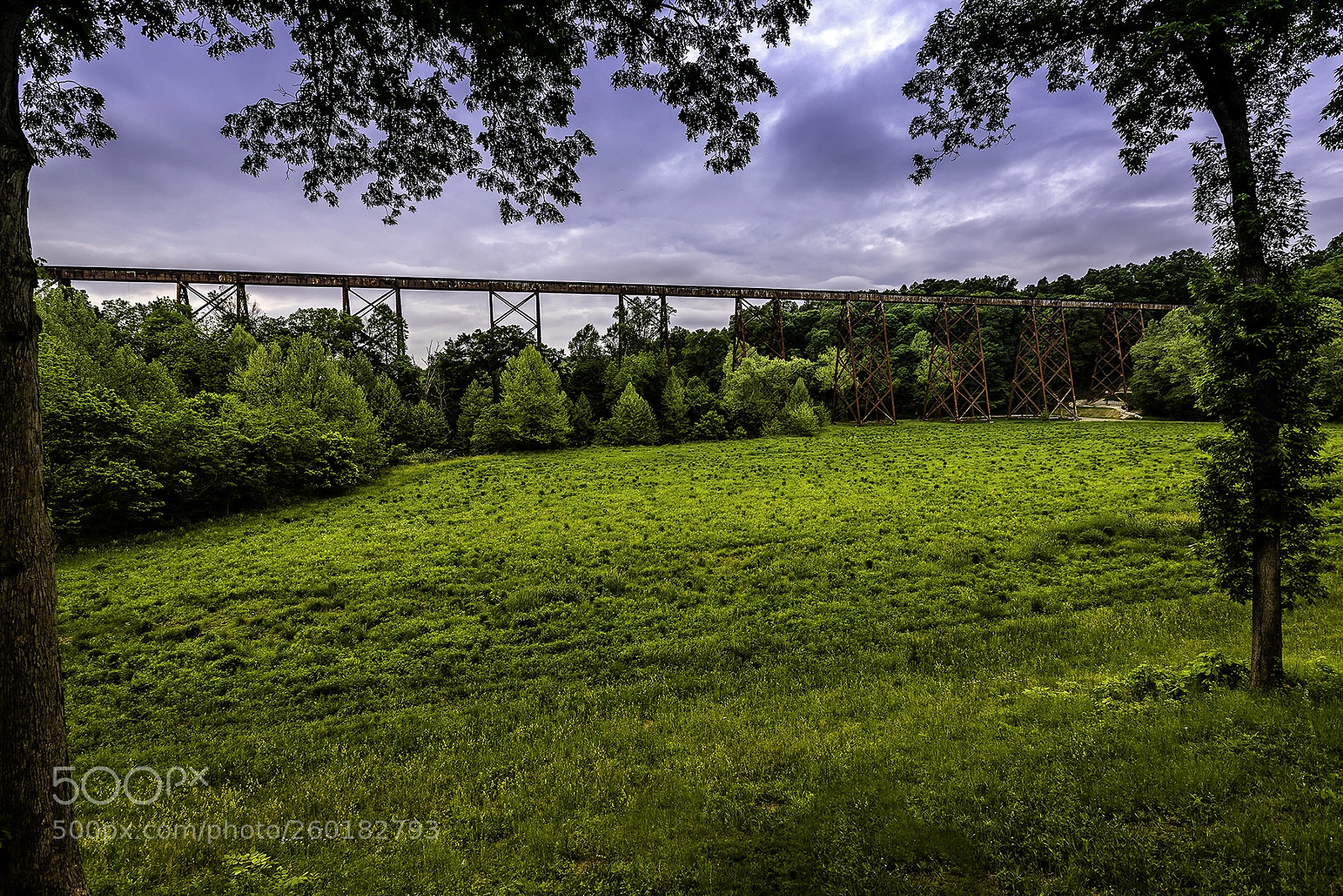 Canon EOS 6D Mark II sample photo. Springtime, bloomfield indiana photography