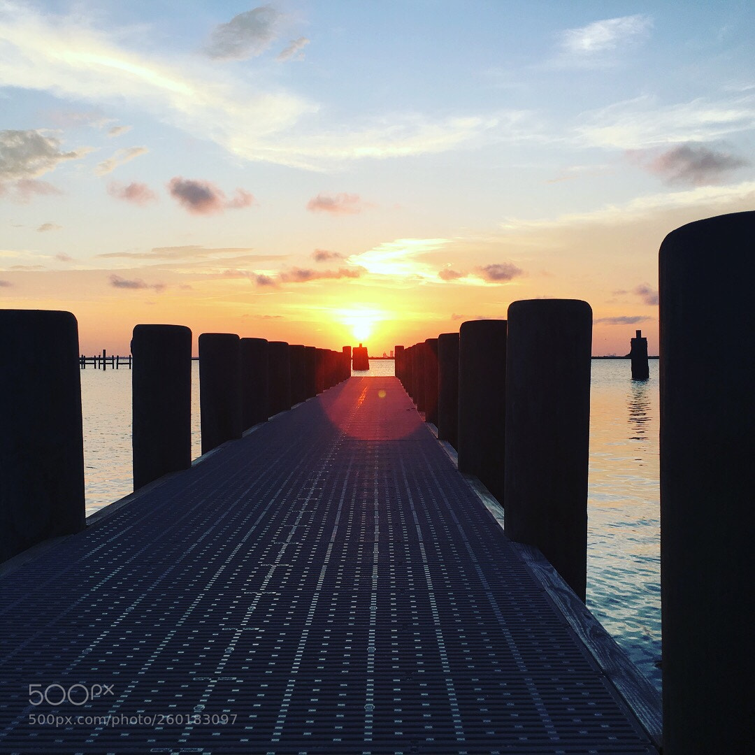 Apple iPhone 6s Plus sample photo. Pathway to the sun photography
