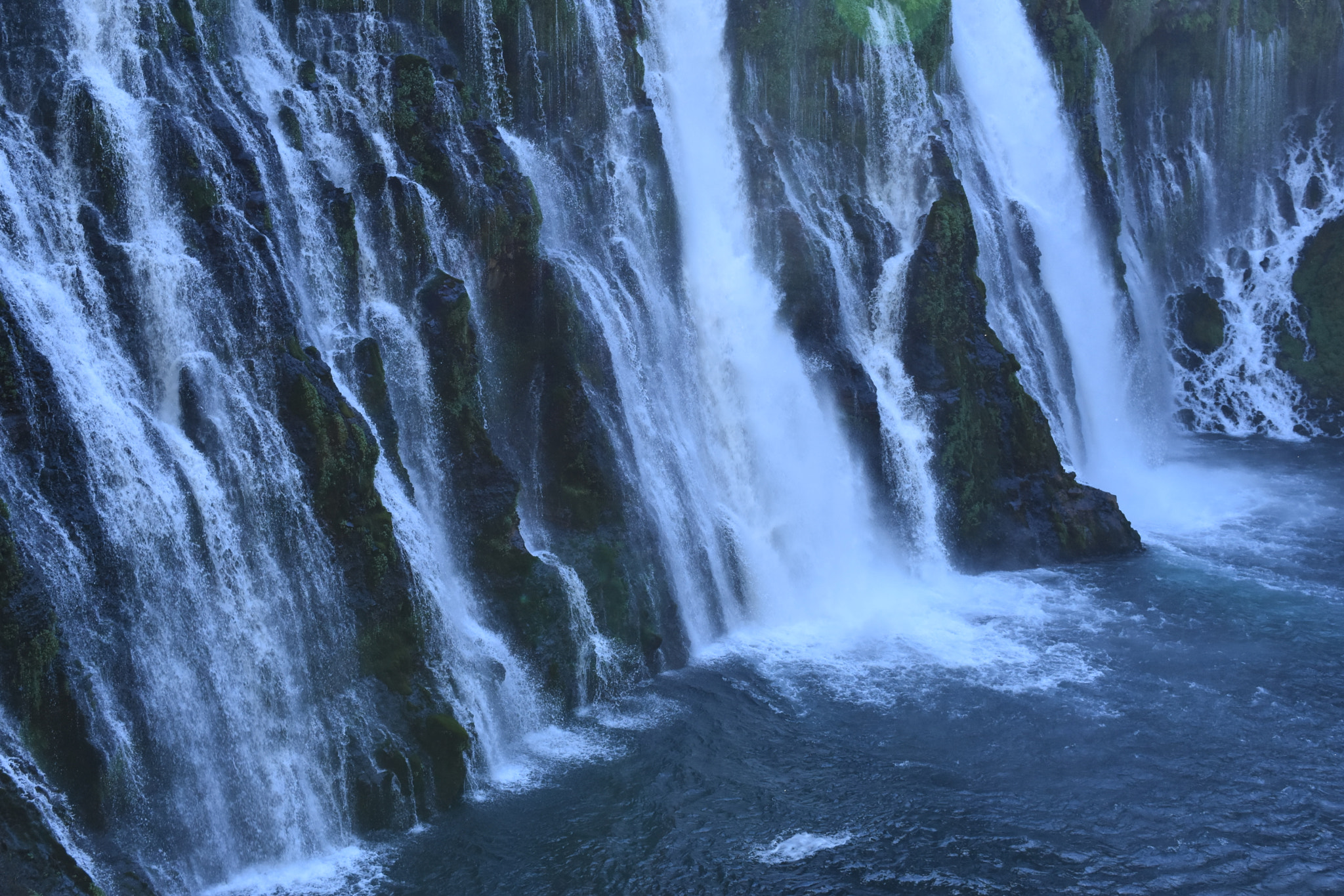 Nikon D7200 sample photo. Trickles upclose photography